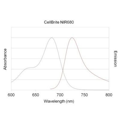 CellBrite NIR Cytoplasmic Membrane Dyes