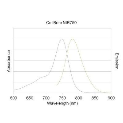 CellBrite NIR Cytoplasmic Membrane Dyes