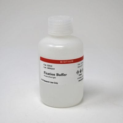 Fixation Buffer