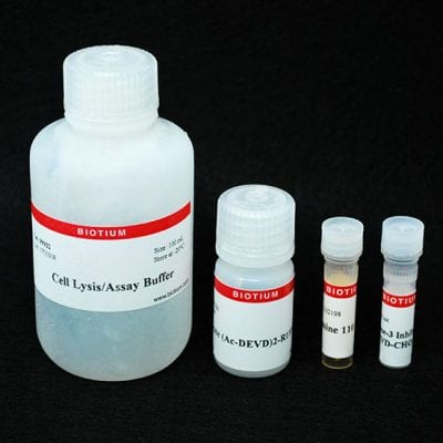 Caspase-3 DEVD-R110 Fluorometric HTS Assay Kit