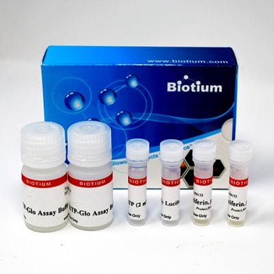 ATP-Glo™ Bioluminometric Cell Viability Assay