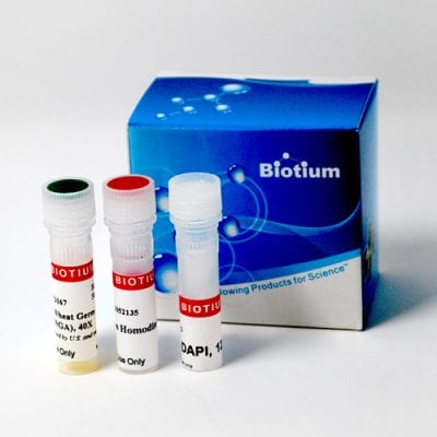 Bacterial Viability and Gram Stain Kit