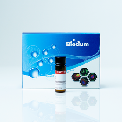 Chromogenic Phosphatase Substrate Sampler